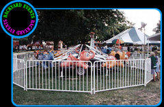 Elephant ride $1300.00 DISCOUNTED PRICE Elephant ride $1300.00 DISCOUNTED PRICE