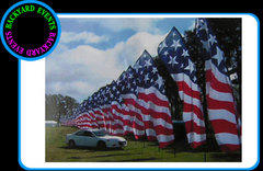 Display flags Display flags