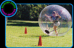 Human spheres $599.00 DISCOUNTED PRICE Human spheres $599.00 DISCOUNTED PRICE