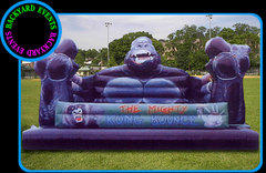 16X16 KING KONG $367.00 DISCOUNTED PRICE 16X16 KING KONG $367.00 DISCOUNTED PRICE