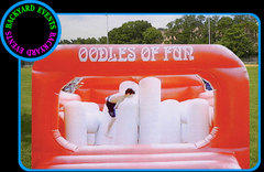 16X16 ODDLES OF FUN $367.00 DISCOUNTED PRICE 16X16 ODDLES OF FUN $367.00 DISCOUNTED PRICE
