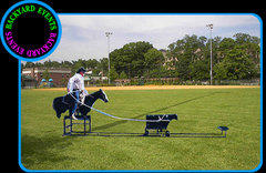 Rodeo Roper $999.00 DISCOUNTED PRICE Rodeo Roper $999.00 DISCOUNTED PRICE