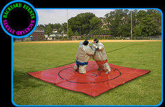 Sumo wrestling $449.00 DISCOUNTED PRICE Sumo wrestling $449.00 DISCOUNTED PRICE
